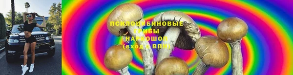 дурь Богородицк