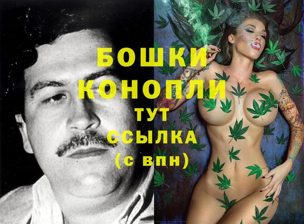дурь Богородицк