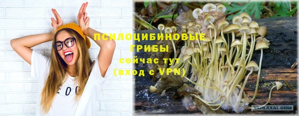 дурь Богородицк