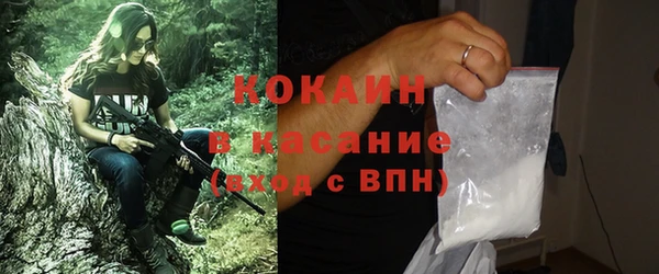 тгк Богданович