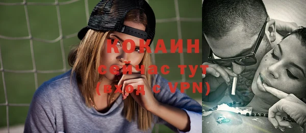 тгк Богданович