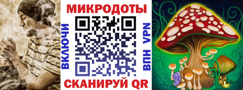 Псилоцибиновые грибы Psilocybe  где можно купить   Озёрск 